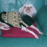 Loren from Lynbrook | Man | 54 years old | Scorpio