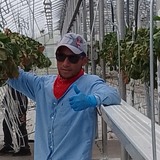 Melvinchonof from Guatemala City | Man | 33 years old | Virgo
