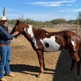 Vakerofachij2 from Empalme | Man | 67 years old | Taurus