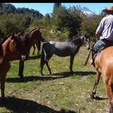 Sergiochiloq from Temuco | Man | 52 years old | Taurus