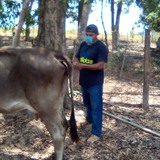 Torresherrer6O from Huajuapan de Leon | Man | 29 years old | Taurus