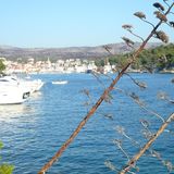 Marko from Crikvenica | Man | 38 years old | Libra