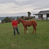 Marcelocarde63 from Calbuco | Man | 58 years old | Libra