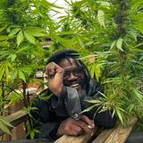 Carlosmorrisle from Brampton | Man | 52 years old | Aries