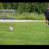 Davis from Lake Grove | Man | 52 years old | Cancer