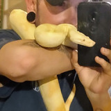 Bluebloodjork4 from Camden | Man | 49 years old | Aquarius