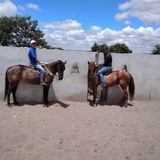 Pedrosacarloxj from Vitoria de Santo Antao | Man | 40 years old | Capricorn
