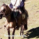 Pedroalejand5D from Melipilla | Man | 34 years old | Pisces